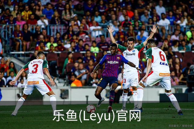 乐鱼(Leyu)官网公司介绍图